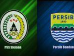 pss-sleman-vs-persib-bandung-06112019.jpg