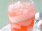 resep-cocopandan-squash.jpg