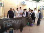 sapi-kurban-pemkot-samarinda_20180822_115703.jpg
