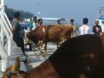 sapi_20170417_212427.jpg