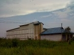 sarang-walet.jpg