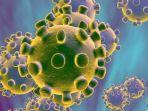 sembilan-orang-meninggal-di-china-akibat-terinfeksi-virus-corona.jpg