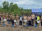 tanam-mangrove-sotek.jpg