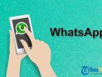 tribunwowcomrusintha-mahayu-aplikasi-whatsapp.jpg