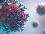 virus-corona-989988997.jpg