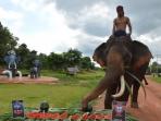 zella-sang-gajah_20160710_220113.jpg