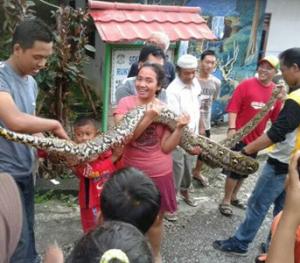 portal_ular_di_balikpapan_RAFAN_ARIF_DWINANTO.jpg