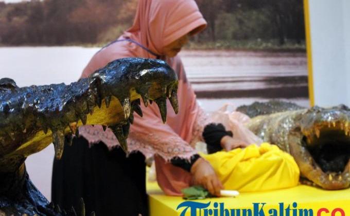 Foto-foto Sepasang Monster Sangatta, Buaya Jantan 6,6 Meter - 20150327_sajen-buat-sepasang-awetan-buaya-monster-sangatta_20141107_193241.jpg