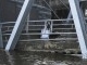 edit_Jembatan_Tenggarong_Rubuh_06_DWI_ARDIANTO.jpg