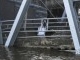 edit_Jembatan_Tenggarong_Rubuh_06_DWI_ARDIANTO.jpg