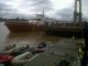 IMG00105-20111129-0914.jpg