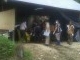 IMG00109-20111129-1002.jpg