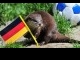 berang2_pilih_jerman.jpg