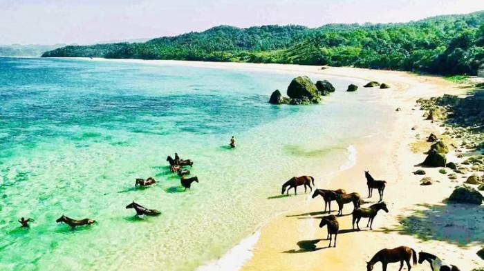 Aktivitas Berkuda di Tepi Pantai Nihiwatu 11