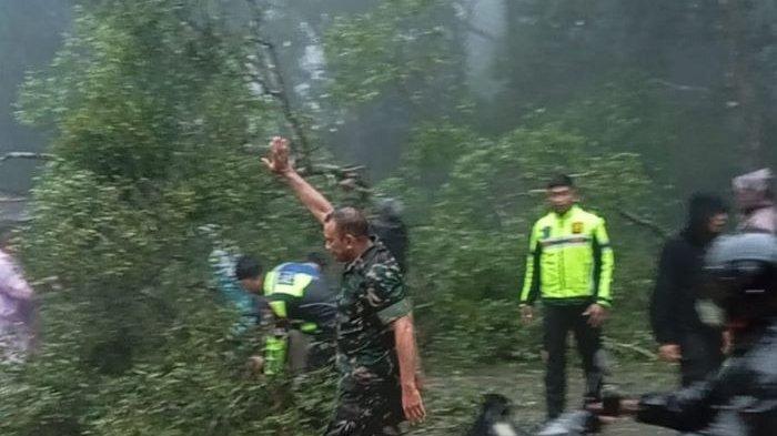 TNI dan Polisi Bersama Warga Evakuasi Pohon Tumbang di Kota SoE