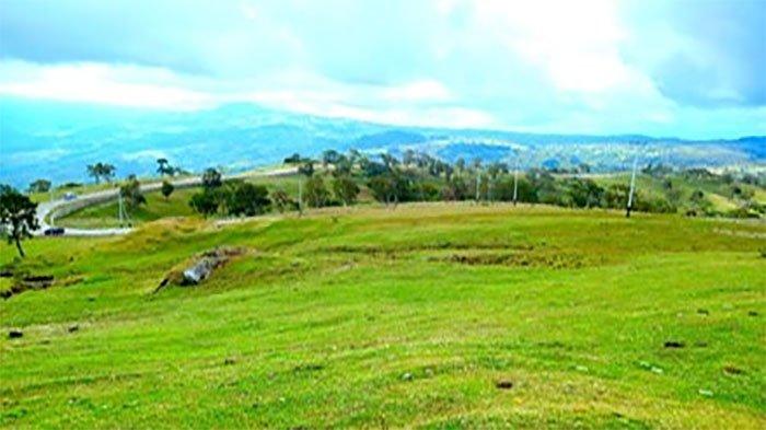 Wisata NTT , Bukit Humon Lelogama yang Viral,Kabut Tipis Usai Hujan Bikin Nuansa Romantis ala Eropa
