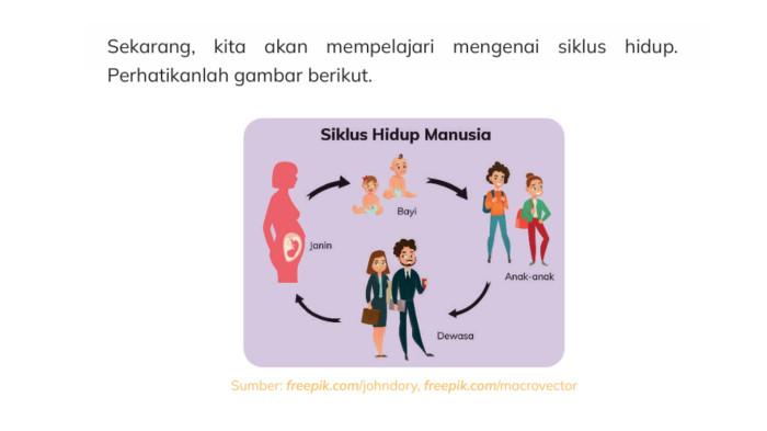 IPAS Kelas 3 Halaman 31 kk