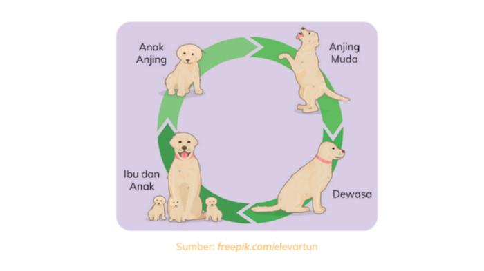 IPAS Kelas 3 Halaman 57 - 58 a