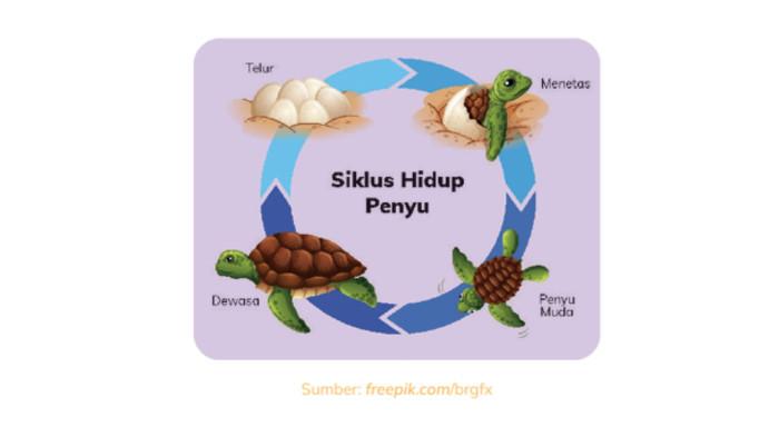 IPAS Kelas 3 Halaman 57 - 58 b