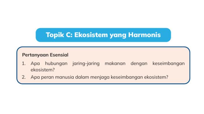 Kunci Jawaban IPAS Kelas 5 Halaman 62 Kurikulum Merdeka: Ekosistem yang Harmonis