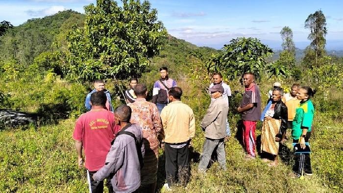 Prodi Kimia Unimor Promosikan Bawang Putih Lokal Eban melalui Penyulingan Minyak Bawang Putih
