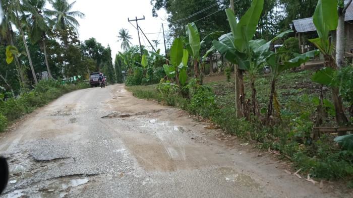 Warga Minta Pemerintah Provinsi NTT Perbaiki  Jalan Rusak Tambolaka-Kodi