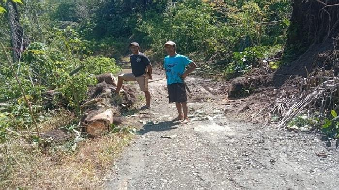 Longsor Tutup Jalan Poco Ri'i Manggarai Timur