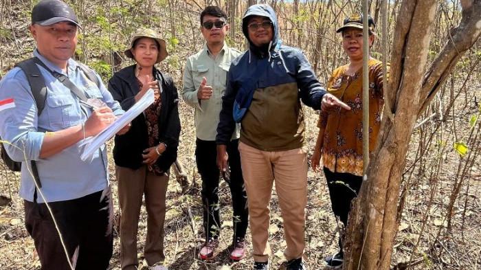 Dorong Transisi Energi, PLN Kantongi Pertek KKPR PLTS Lembata