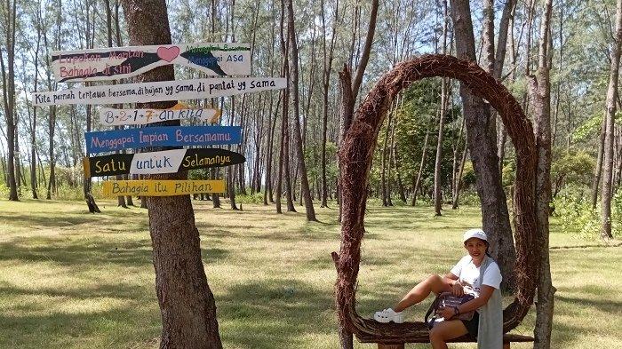 Wisata Abudenok Malaka NTT, Tawarkan Keindahan Pantai dan Hamparan Cemara Menyejukkan
