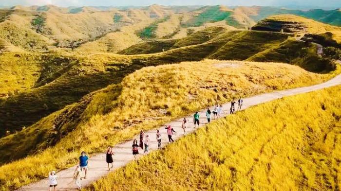 Pesona Savanna Tanarara Kesan Tak Berujung dengan Dikelilingi Hamparan Perbukitan Hijau