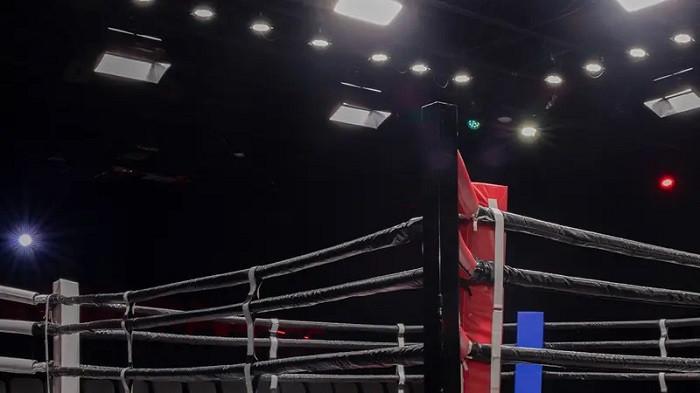 Hasil Tinju Dunia, Kyosonuke Kameda Menang Mutlak Atas John Riel Casimero
