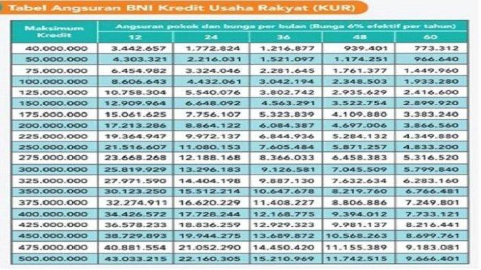 KUR BNI 2025, Simak Cara Pengajuan Pinjaman Secara Online-Offline serta Cicilan Plafon Rp500 juta