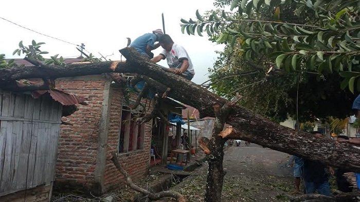 BMKG Ingatkan Potensi Angin Kencang dan Kebakaran Hutan/Lahan di NTT,Cuaca NTT Hari Ini 12 Juli 2024