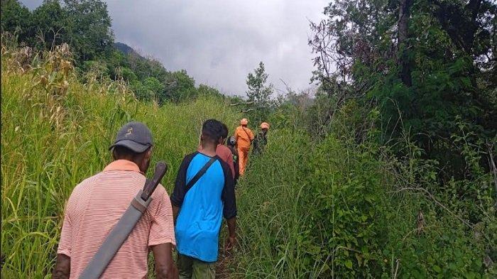 Enam Hari Menghilang, Nenek 80 Tahun di Sikka Masih Dalam Pencarian Tim SAR Gabungan