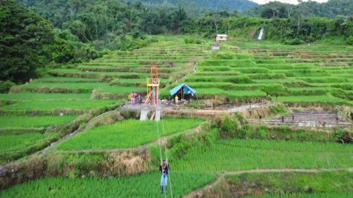 FLYING FOX -- Wahan flying fox, atraksi wisata baru di Desa Wisata Golo Loni, Kecamatan Rana Mese, Kabupaten Manggarai Timur, Pulau Flores, Nusa Tenggara Timur (NTT).