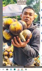 Berita Viral Buah Siwalan di Malang Provinsi Harga Rp 15 Ribu Cocok Dimakan Saat Udara Panas Gerah
