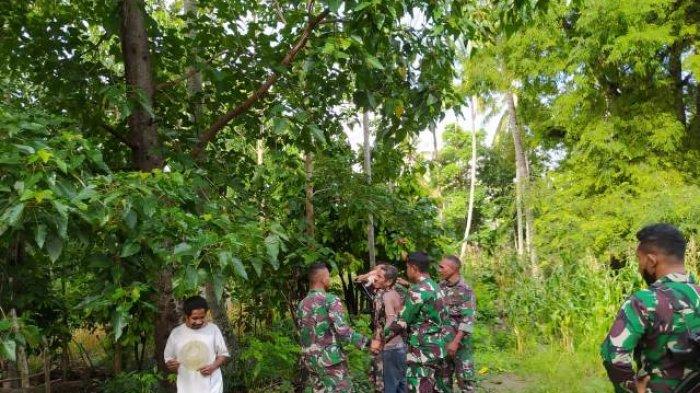 Anggota Satgas  RI- RDTL Yonif 743/PSY Malaka Berhasil Amankan Pelaku Perusak Rumah di Alas