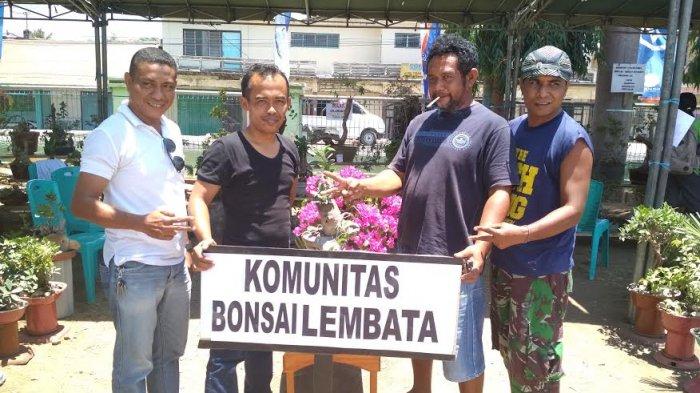 Komunitas Bonsai Lembata Tawarkan Alternatif Tanaman Hias di Rumah