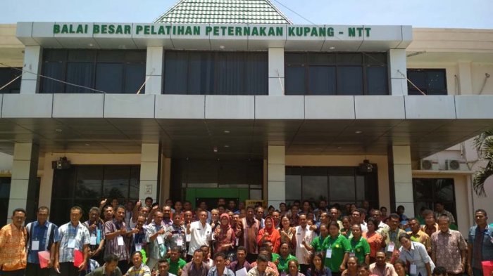 Ini Alasan BBPP Ingin Kembangkan Kedelai