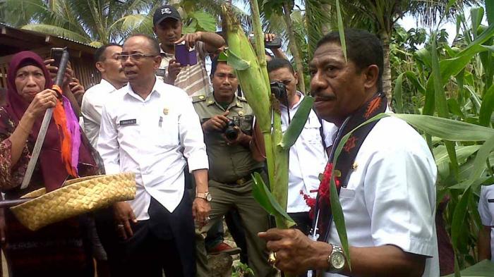 Bupati Marsel Potong Jagung di Desa Embundoa