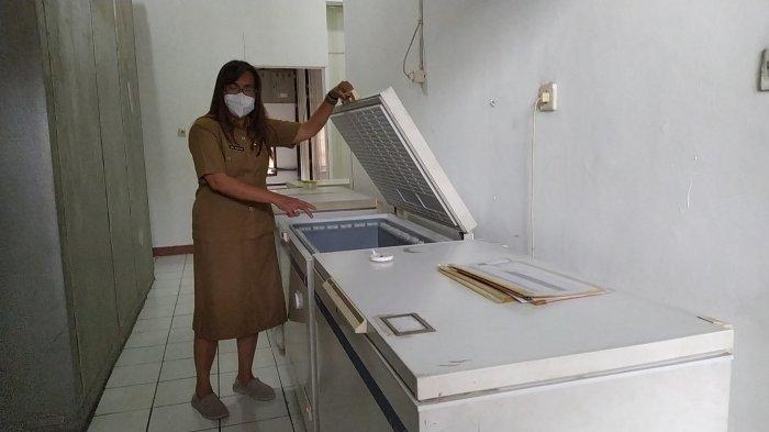 Dinas Kesehatan Provinsi NTT Pastikan Cold Chain Untuk Vaksin Corona Sinovac Siap, Begini Kesiapan