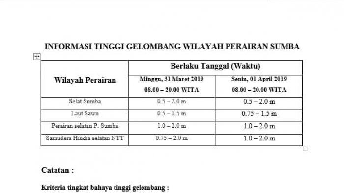 Potensi Gelombang di Dua Perairan di Sumba Mencapai 2.0 Meter, BMKG Minta Nelayan Waspada
