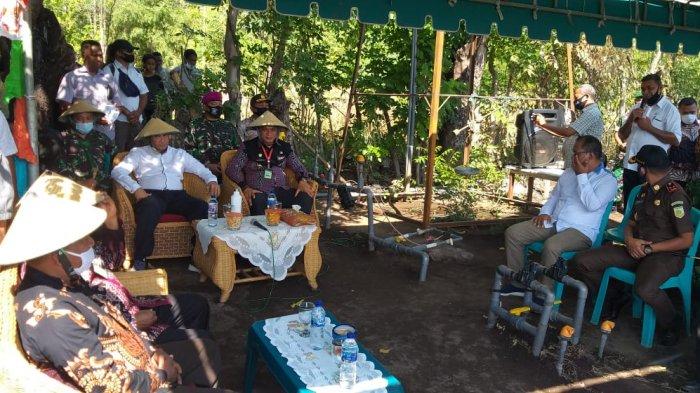 Di NTT, Petani Sikka Ini Viral Gara-Gara Irigasi Tetes Smartphone