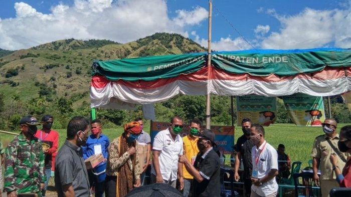 Ini Pesan Vikep Ende Dalam Bahasa Daerah Nagekeo Lawan Corona