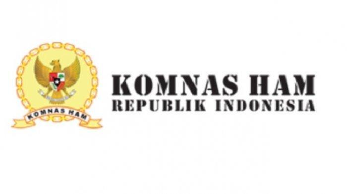 Komnas HAM Sudah Serahkan Bukti Investigasi Kasus Penembakan Laskar FPI, Bagaimana Selanjutnya?