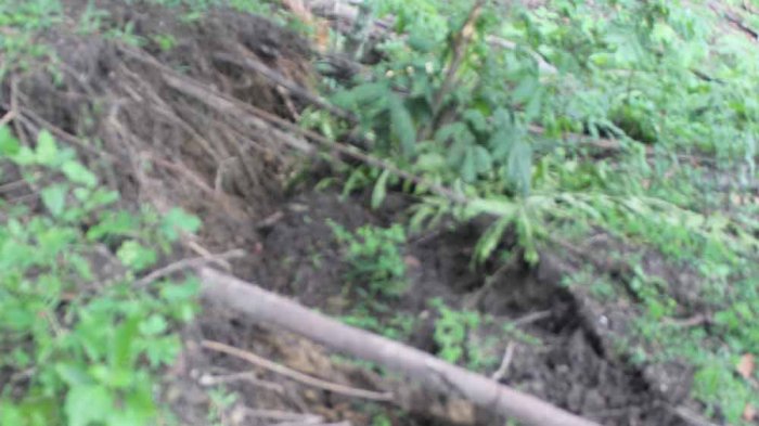 Puluhan Warga Binaus di TTS Terancam Bencana Tanah Longsor