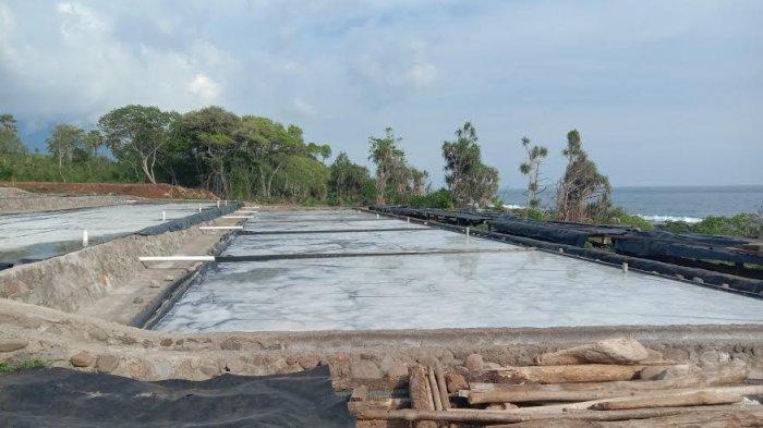 Stok Garam Produksi Desa Lolong Selalu Habis Dipesan