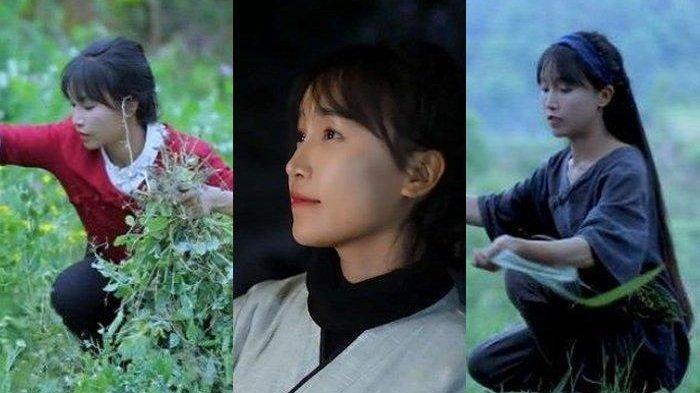 Inilah Rahasia Li Ziqi yang Dulu Miskin Kini Kaya Mendadak Dengan Penghasilan Rp 72 Miliar, Simak!