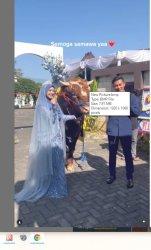 Berita Viral Pemilik Penggemukan Sapi di Ciampea, Bogor Nama Kandang Juragan Beli Sapi 900 kg, Info