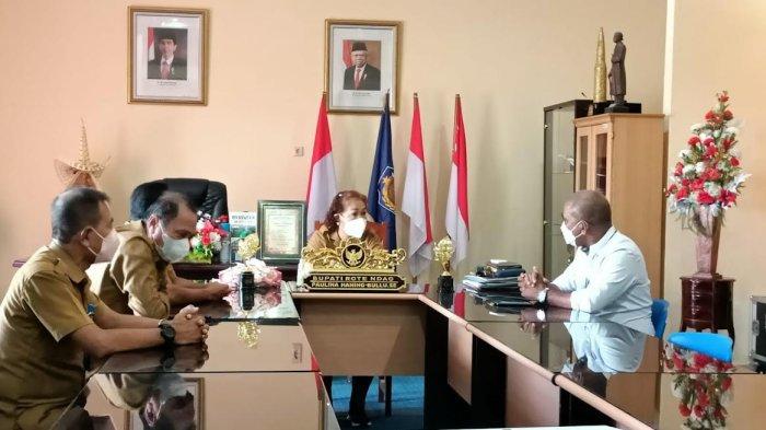Program Tanam Jagung Panen Sapi Diganti Dengan Tanam Rumput Odot Panen Sapi di Rote Ndao